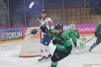 KH Energa Toruń - JKH GKS Jastrzębie