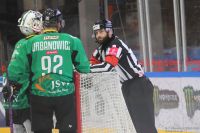 KH Energa Toruń - JKH GKS Jastrzębie