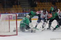 KH Energa Toruń - JKH GKS Jastrzębie