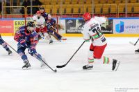 KH Energa Toruń - ECB Zagłębie Sosnowiec