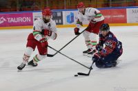 KH Energa Toruń - ECB Zagłębie Sosnowiec