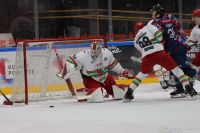 KH Energa Toruń - ECB Zagłębie Sosnowiec