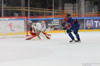 KH Energa Toruń - ECB Zagłębie Sosnowiec