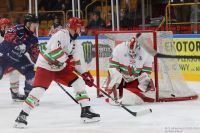 KH Energa Toruń - ECB Zagłębie Sosnowiec