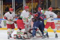 KH Energa Toruń - ECB Zagłębie Sosnowiec