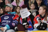 KH Energa Toruń - ECB Zagłębie Sosnowiec