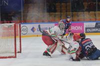 KH Energa Toruń - ECB Zagłębie Sosnowiec