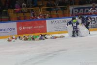 KH Energa Toruń - ECB Zagłębie Sosnowiec