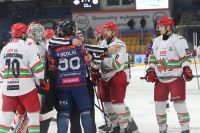 KH Energa Toruń - ECB Zagłębie Sosnowiec