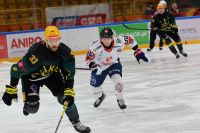 KH Energa Toruń - GKS Katowice