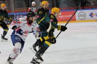 KH Energa Toruń - GKS Katowice