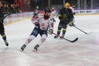 KH Energa Toruń - GKS Katowice