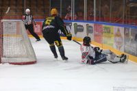 KH Energa Toruń - GKS Katowice