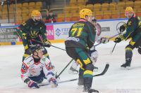 KH Energa Toruń - GKS Katowice